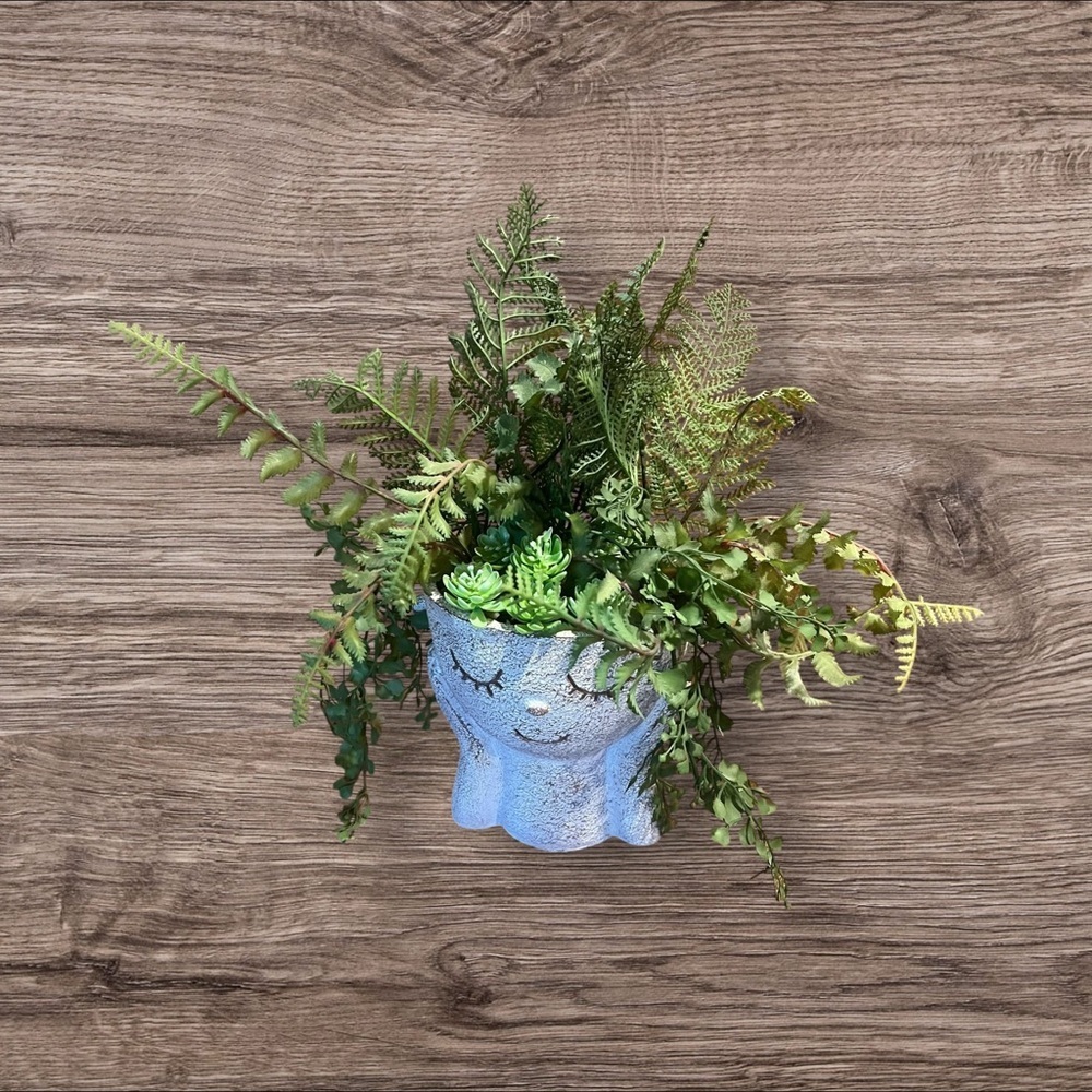 Faux Succulent Arrangement Sleepy Face Planter Pot